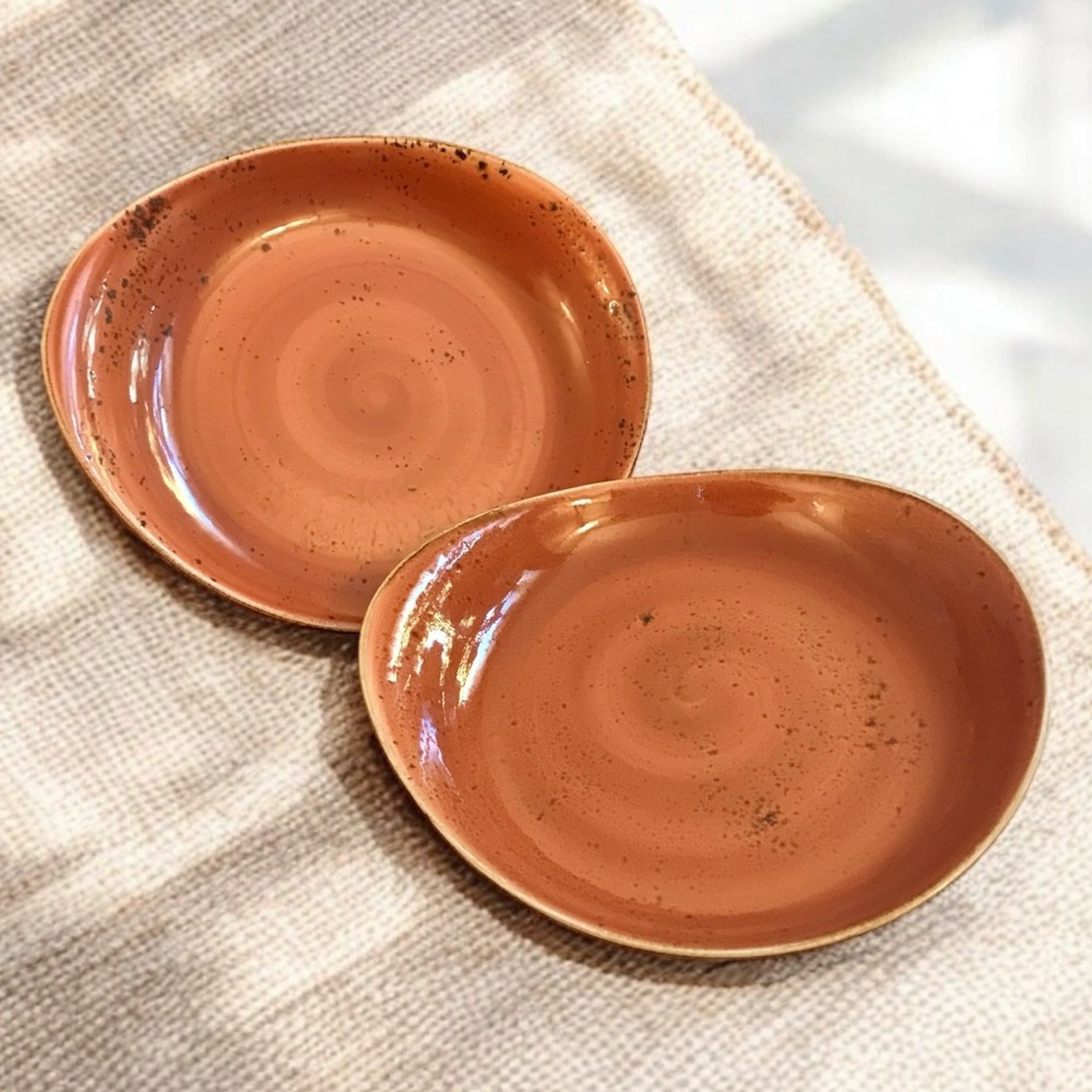 2 Steelite Craft Terracotta Freestyle Bowls Plates 9.5" England Pottery 11300521